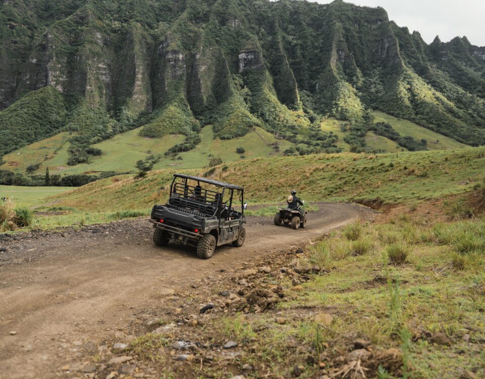 Off road golf cart